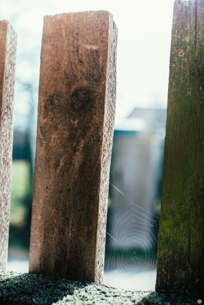 2014-online_0274_little-skyscrapers_001_online