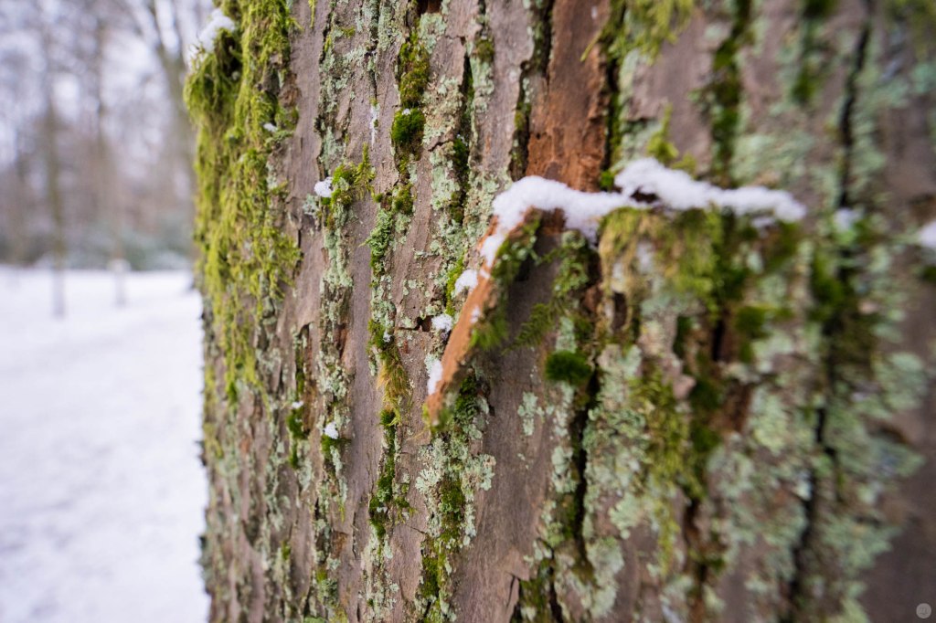 2015-online_0111_hands-on_sony-alpha-72_024