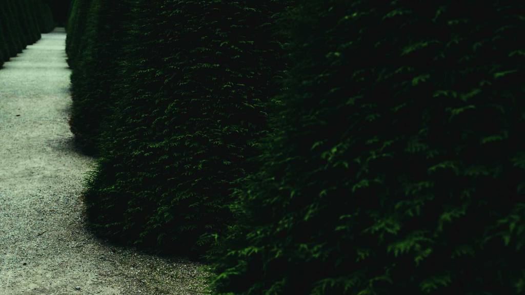 lass ma was&nbsp;lernen