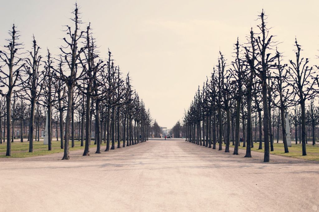 artikelbild_rueckblick_2015-02