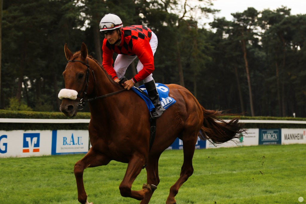 technik-tipp_schaerfe02_jockey