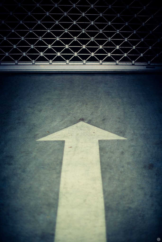 2014-online_0278_forward-to-dead-end_001_online