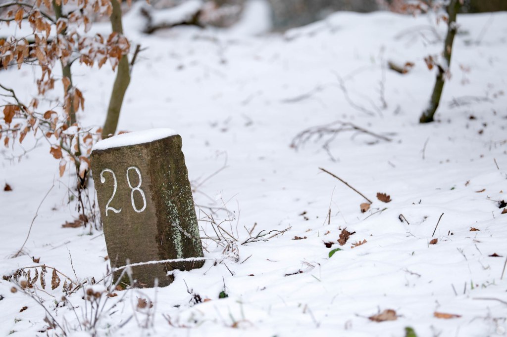 2015-online_0214_hands-on_fujinon-50-140-f28_001