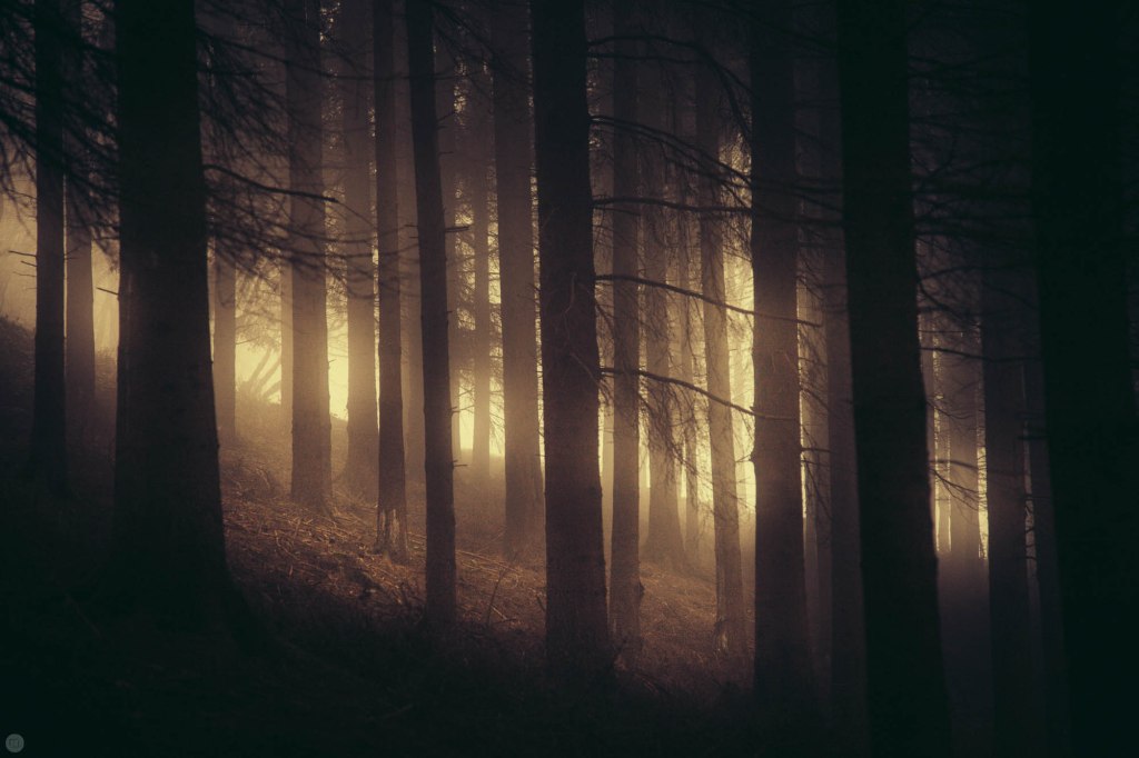 2014-online_0297_gruhl_001_online