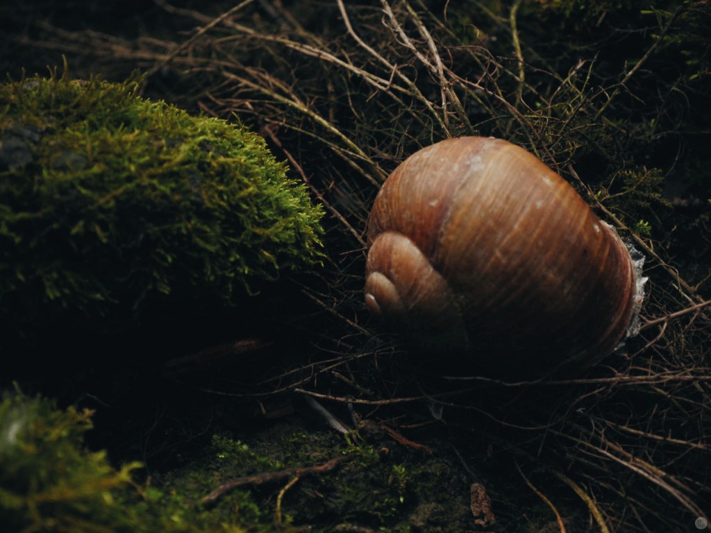 Processed with VSCOcam with a6 preset