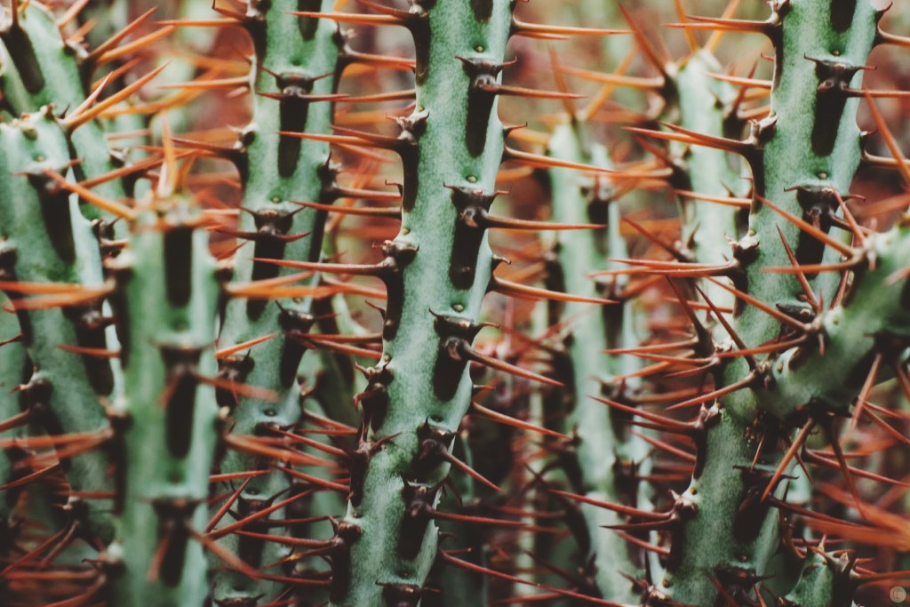 Processed with VSCOcam with f3 preset