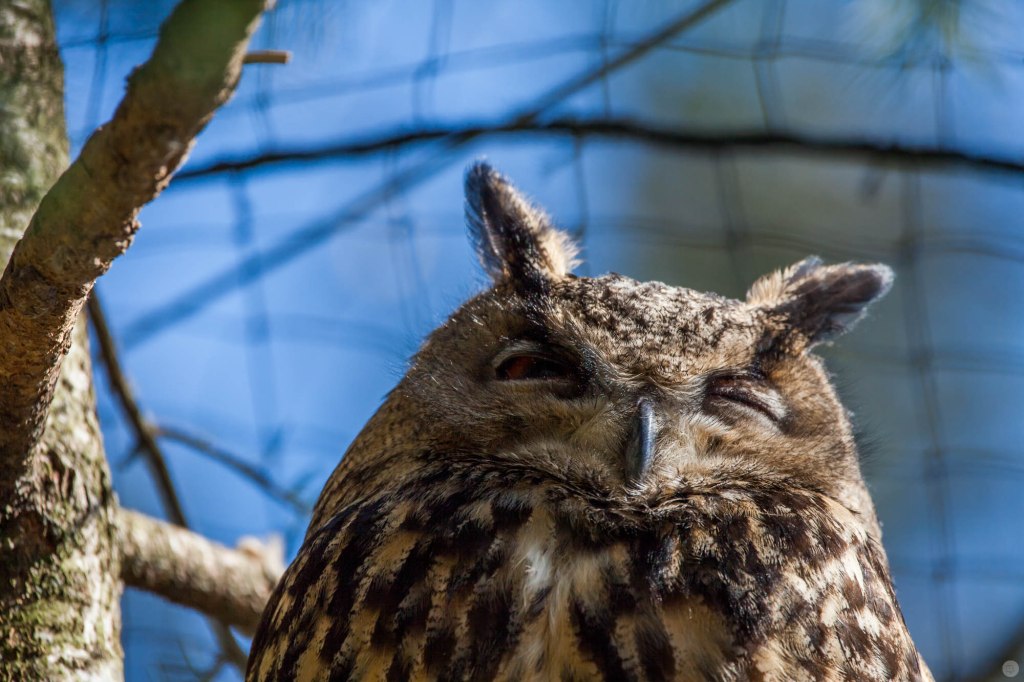 2015-online_0434_sigma-150-600mm-c-02_002