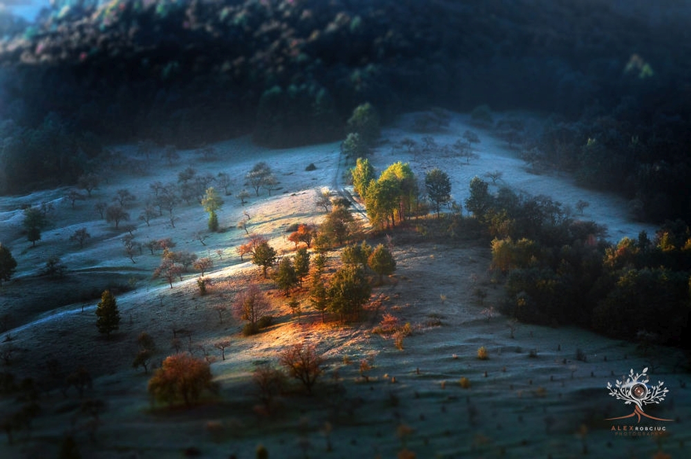 giba_robciuc-alex_010