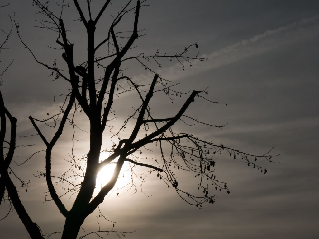 2015-online_0472_hands-on_panasonic-gf7_017