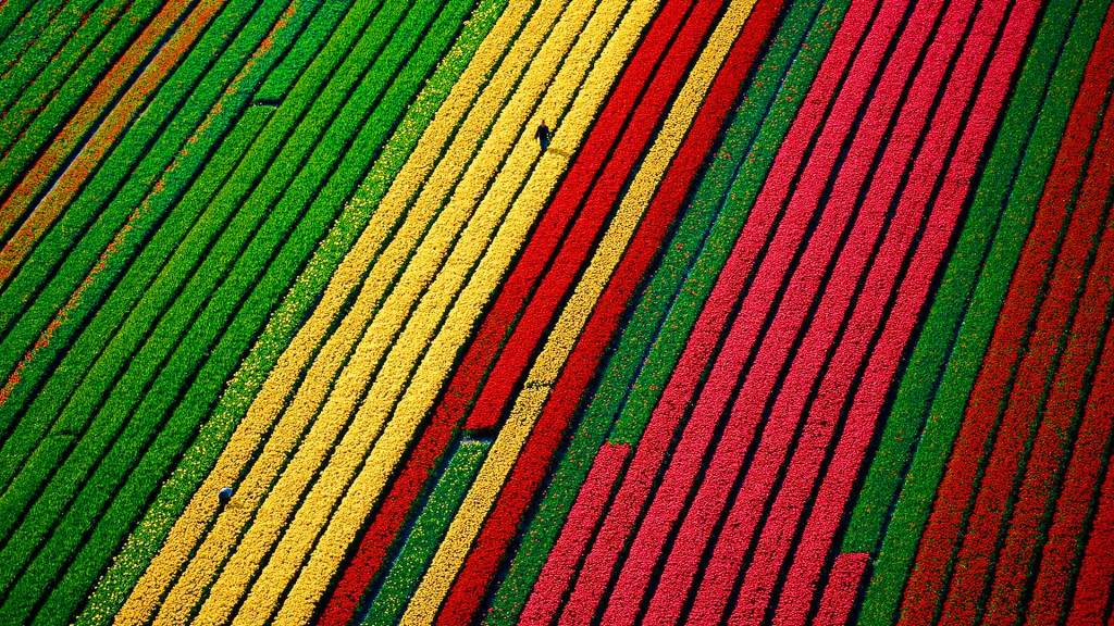 artikelbild_vdw_home