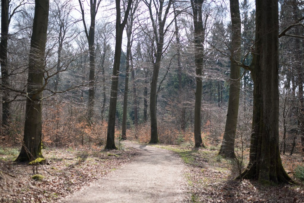 dunkelkammerkunst-05_wood-original