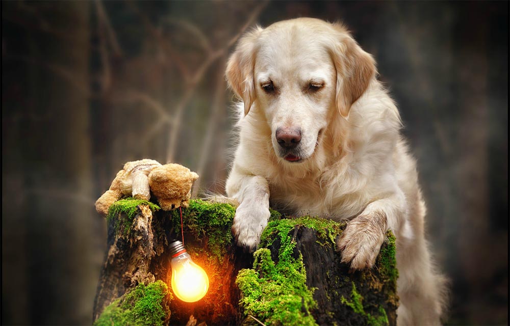 giba_gabi-stickler_0002_Ebene 16