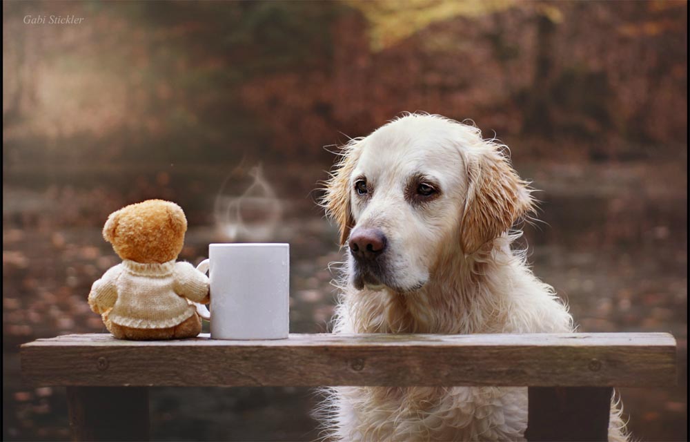 giba_gabi-stickler_0006_Ebene 12