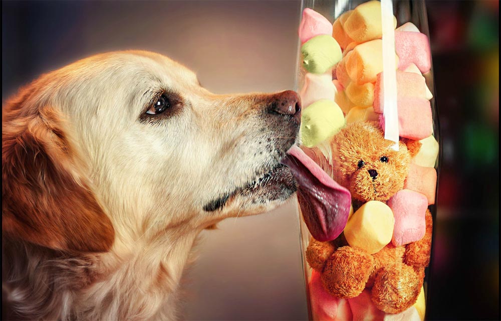 giba_gabi-stickler_0009_Ebene 9