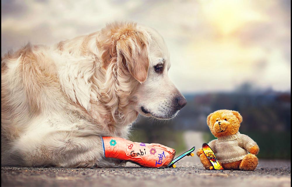 giba_gabi-stickler_0010_Ebene 8