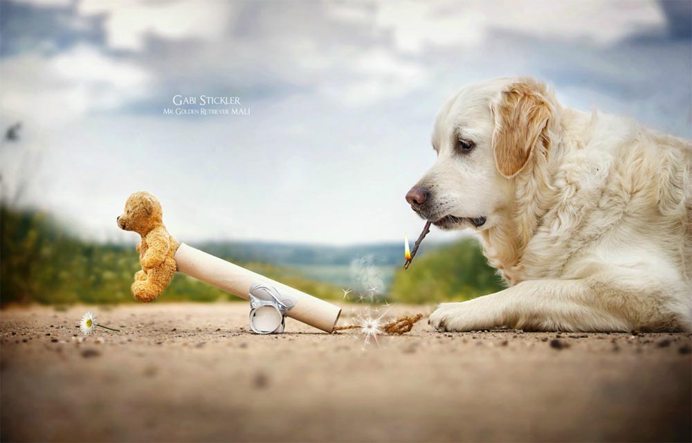 giba_gabi-stickler_0017_Ebene 1