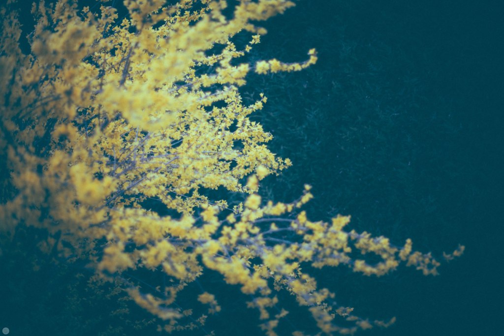 2014-online_0483_particles_001_online