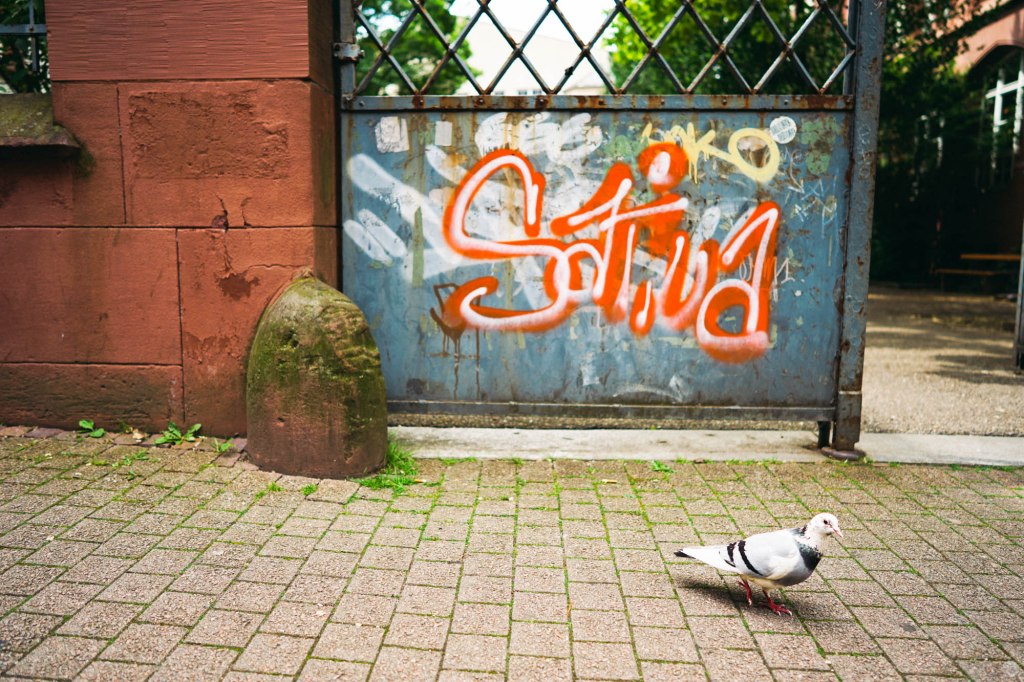 2015-05-27_13-05-31-2