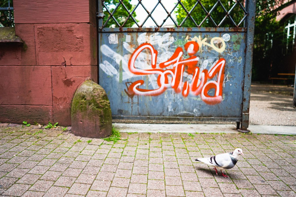 2015-05-27_13-05-31-3