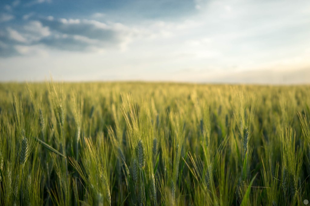 2015-online_0507_hands-on_zeiss-batis-25_005