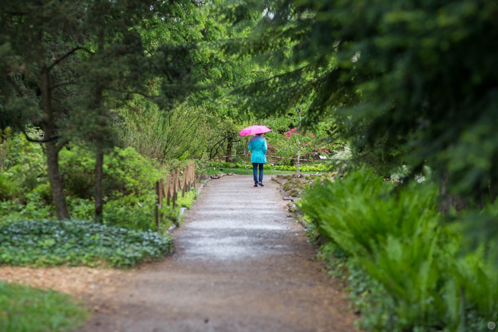 2015-online_0551_hands-on_nikkor-105f18_021