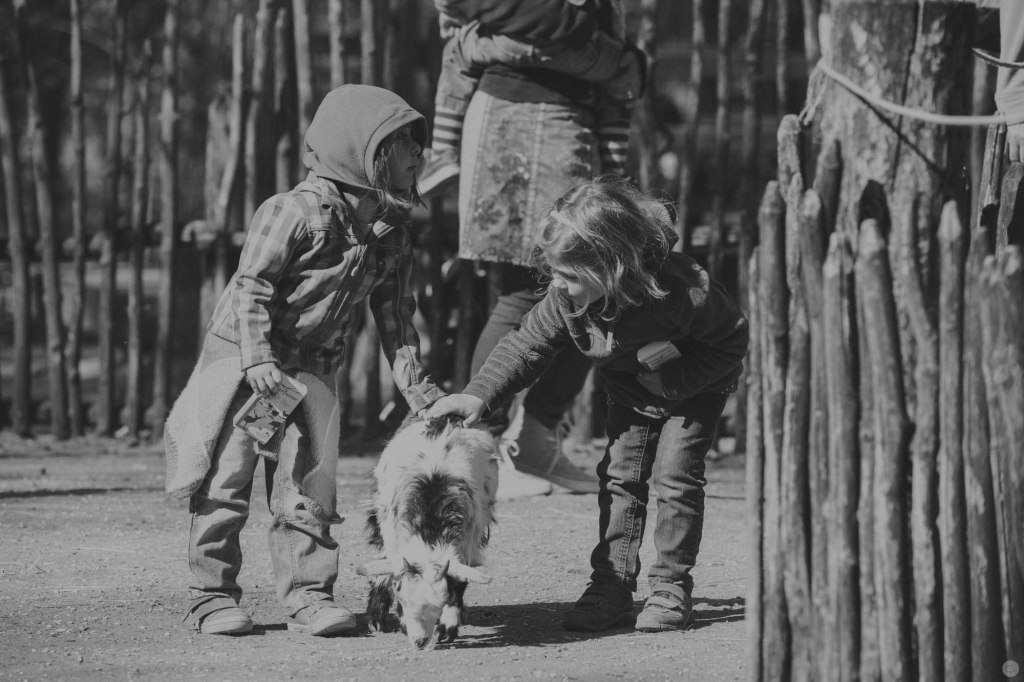 2015-04-19_15-22-01_bw8