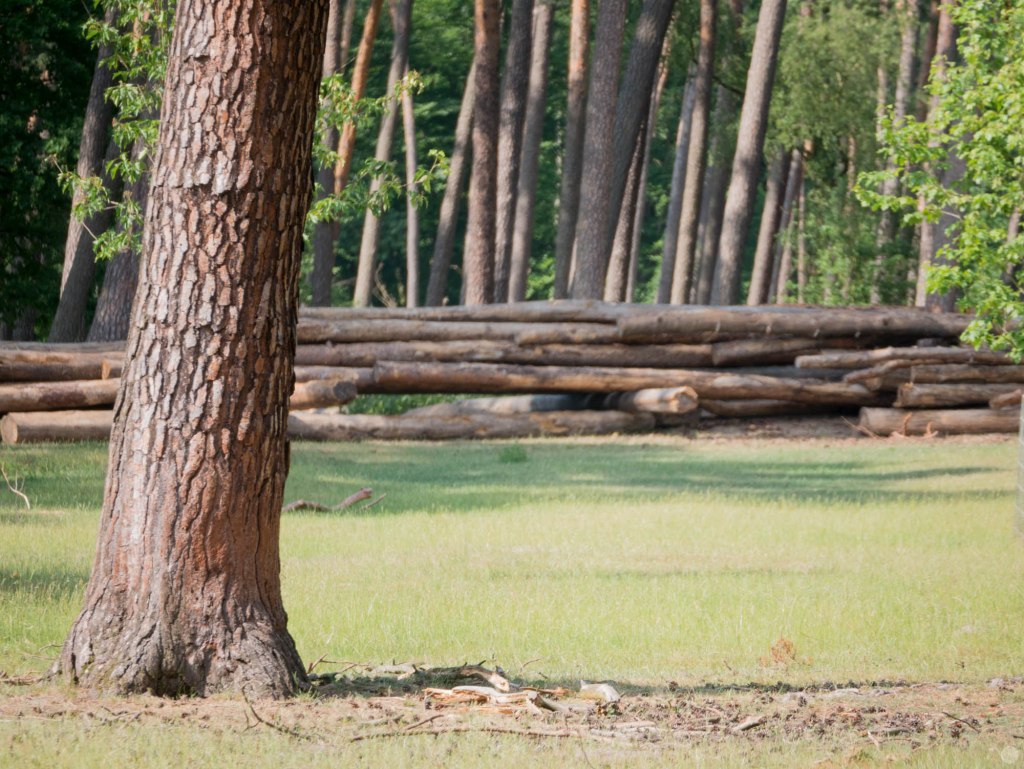 2015-online_0570_hands-on_panasonic-g70_019