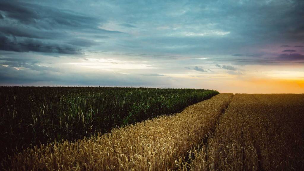 DSLR-Rekord: 50 Megapixel