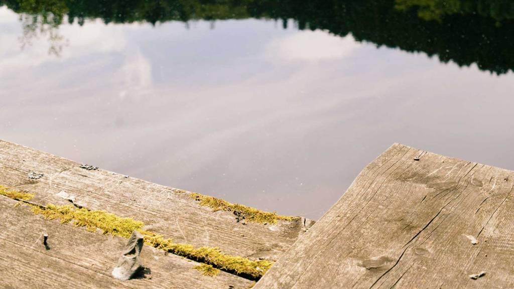 Dunkelkammerkunst 9: Red Leaf –&nbsp;Fernweh