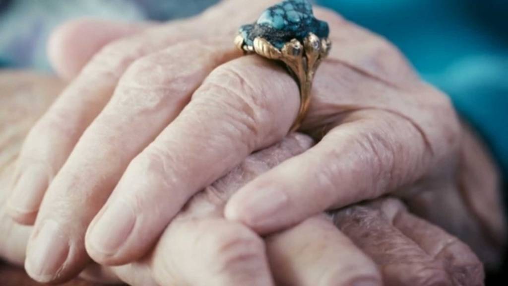 artikelbild_vdw_portland