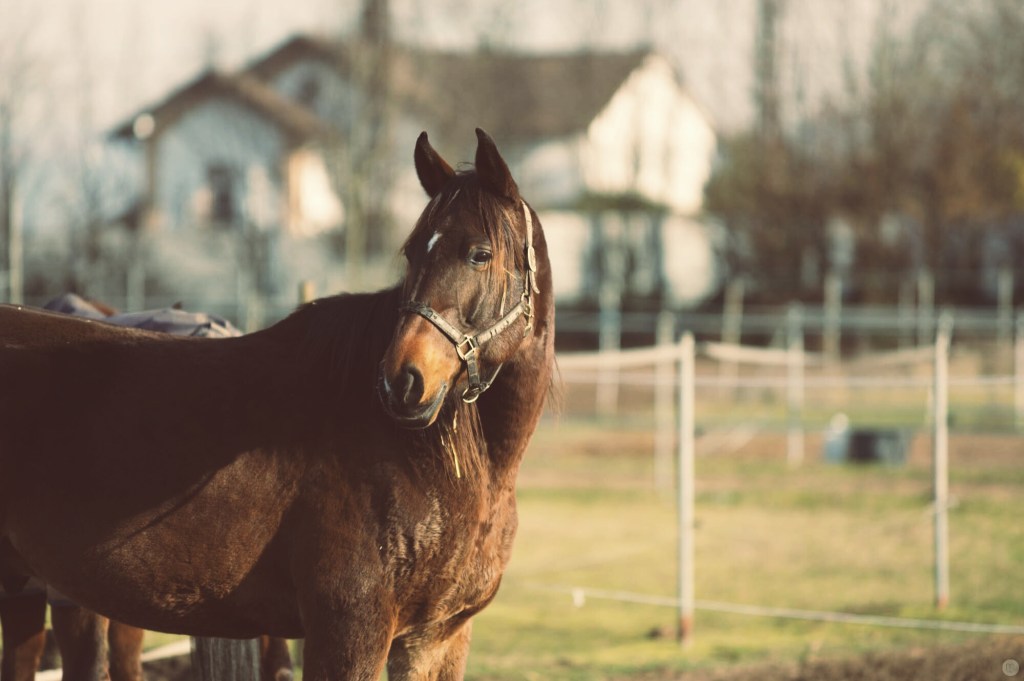 Rückblick: Juli 2015