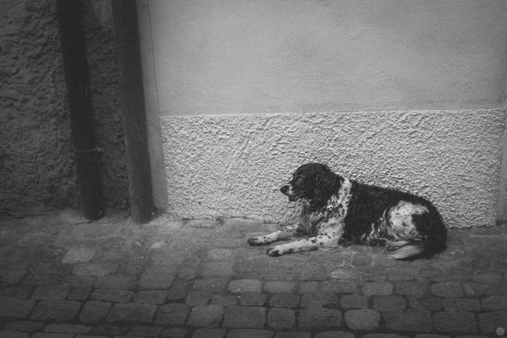 2014-online_0861_sidewalk-break_001