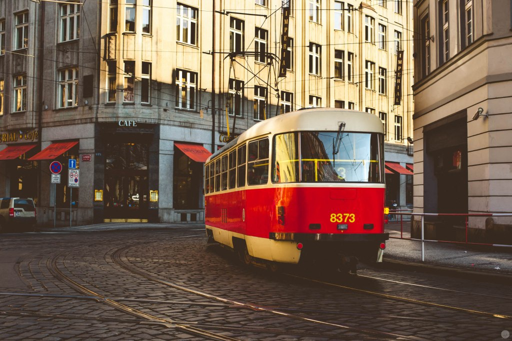 Dunkelkammerkunst 11: Red Leaf – Film&nbsp;Emulsion