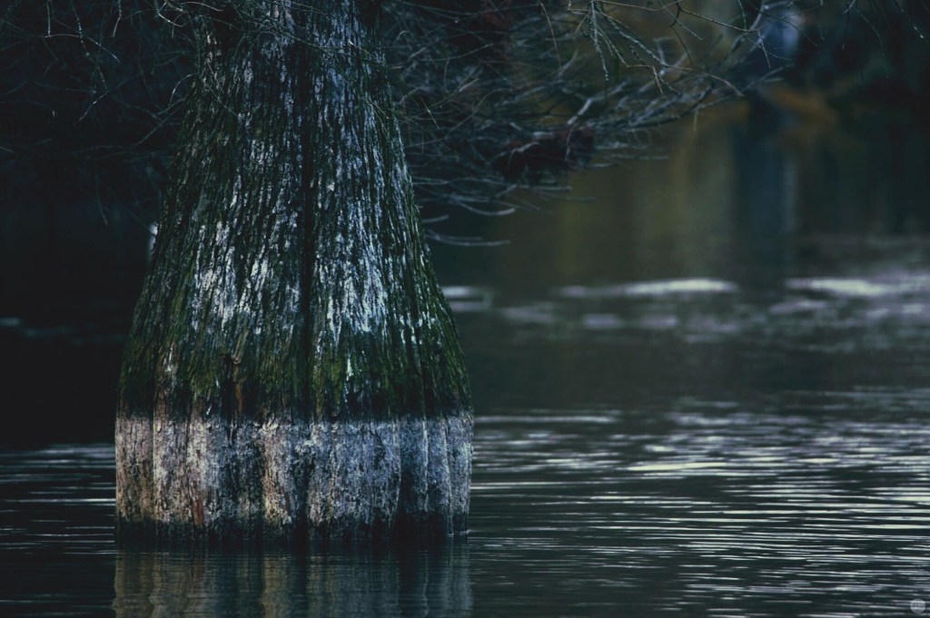 Rückblick: September 2015