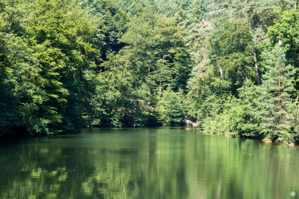 2015-online_0920_hands-on_canon-g3x_002