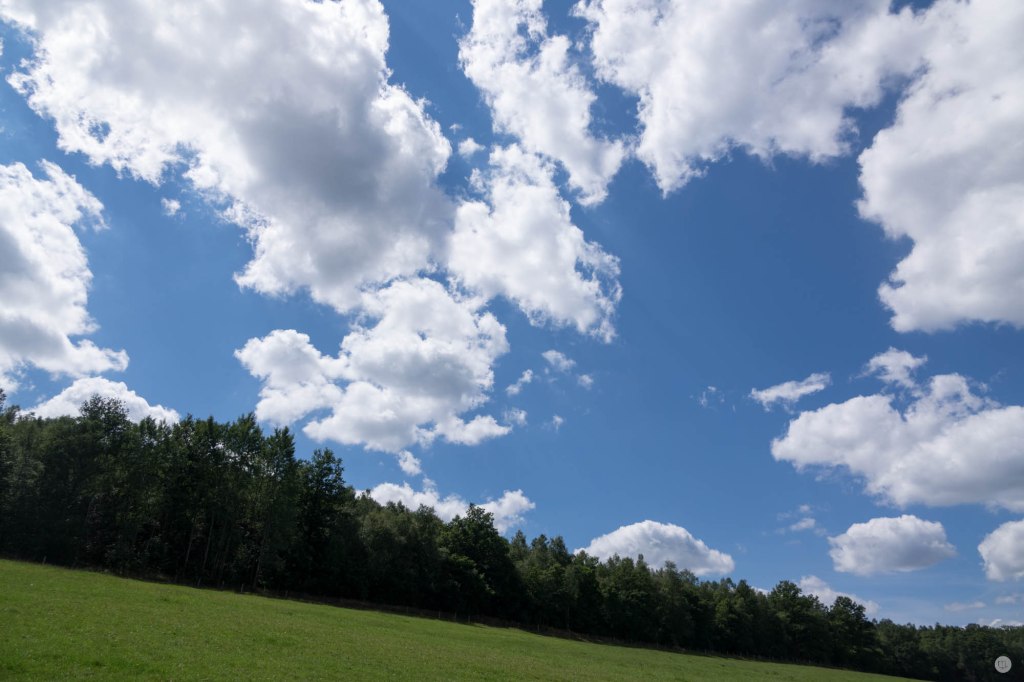 2015-online_1023_hands-on_sony-rx10-m2_024