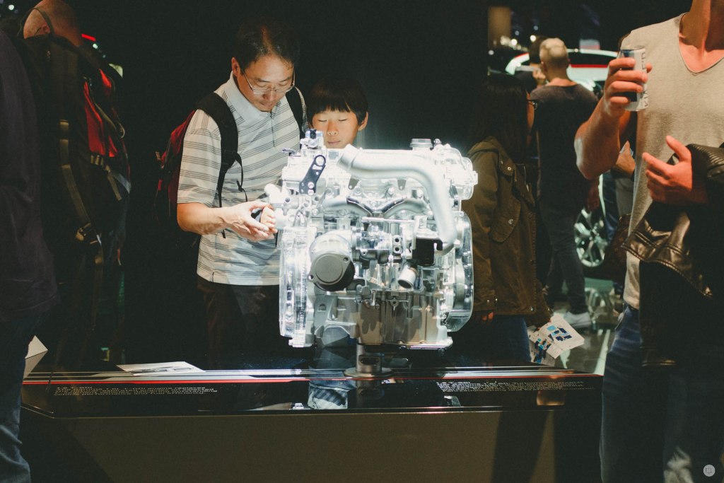 2015-online_1036_iaa-2015_002