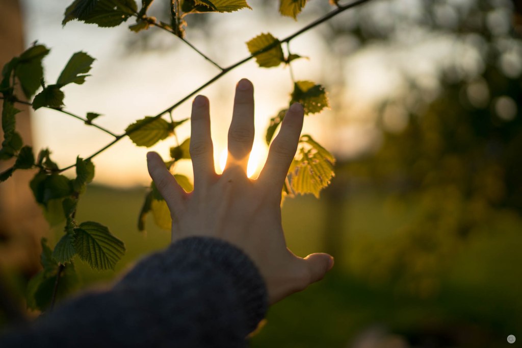 2015-online_1088_hands-on_sony-fe-35mm14_014