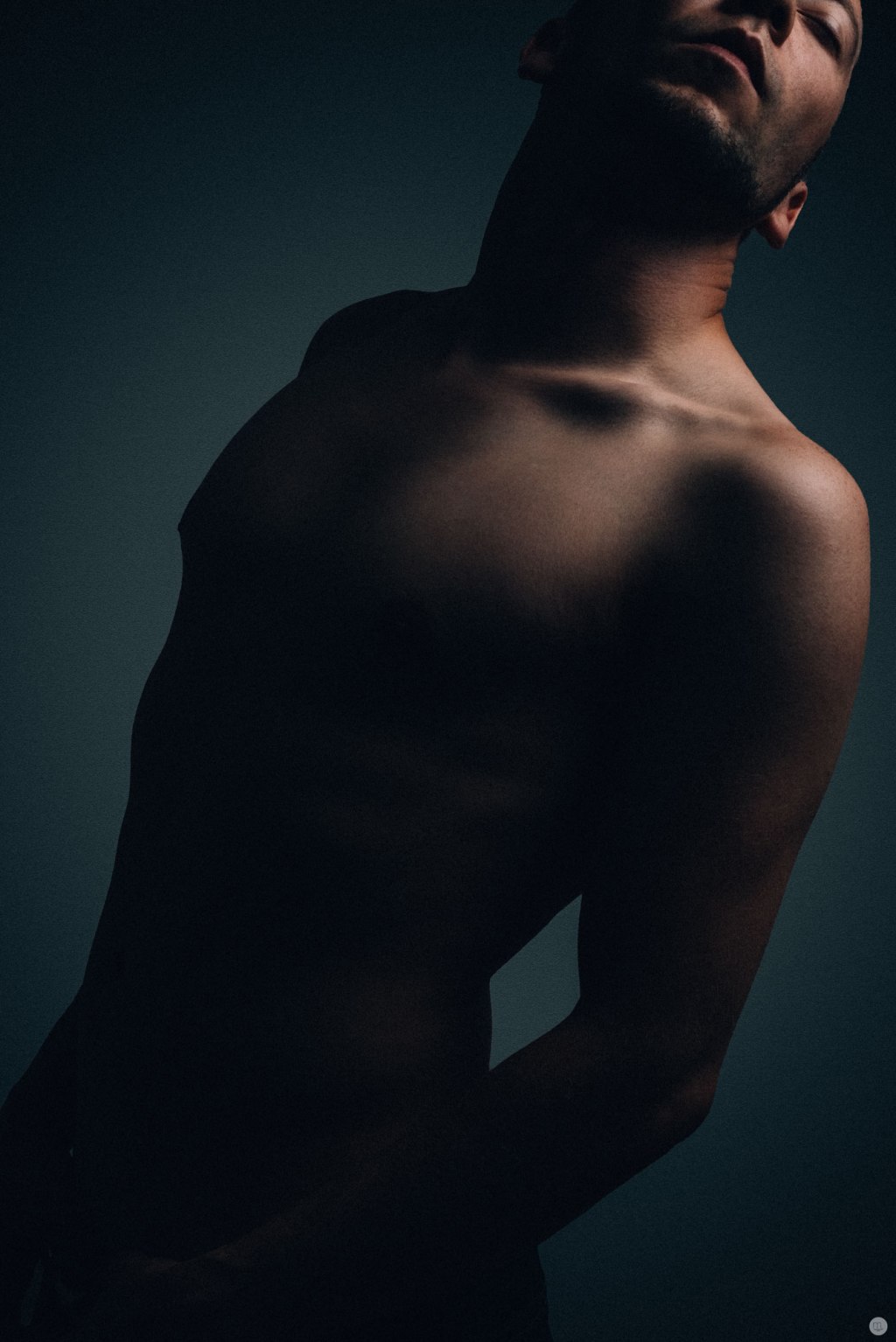 cut from shadows&nbsp;IV