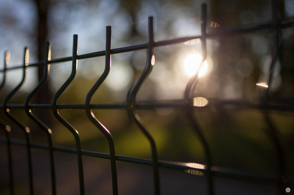 2015-online_1190_hands-on_tamron-sp35_018