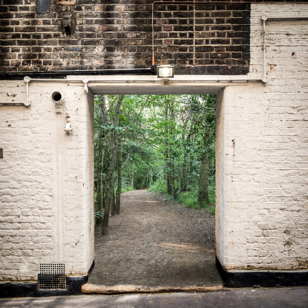 giba_james-popsys_07