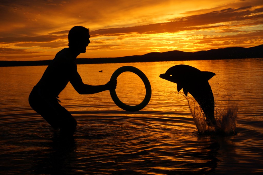 giba_john-marshall-sunset-selfies_005