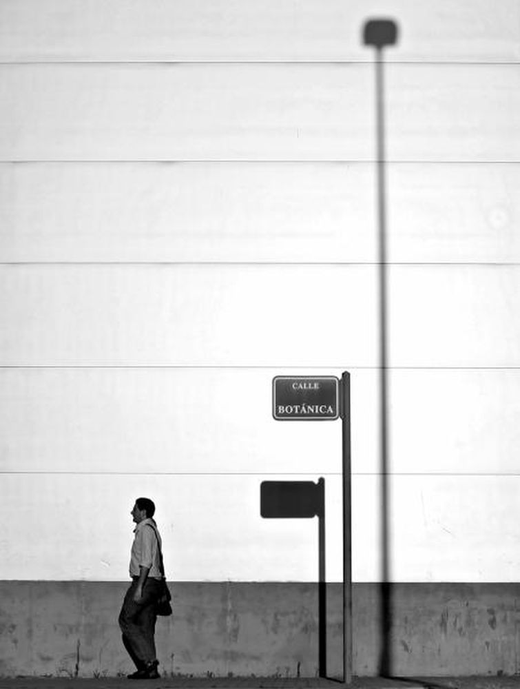 giba_ojeda_Botanica Urbana