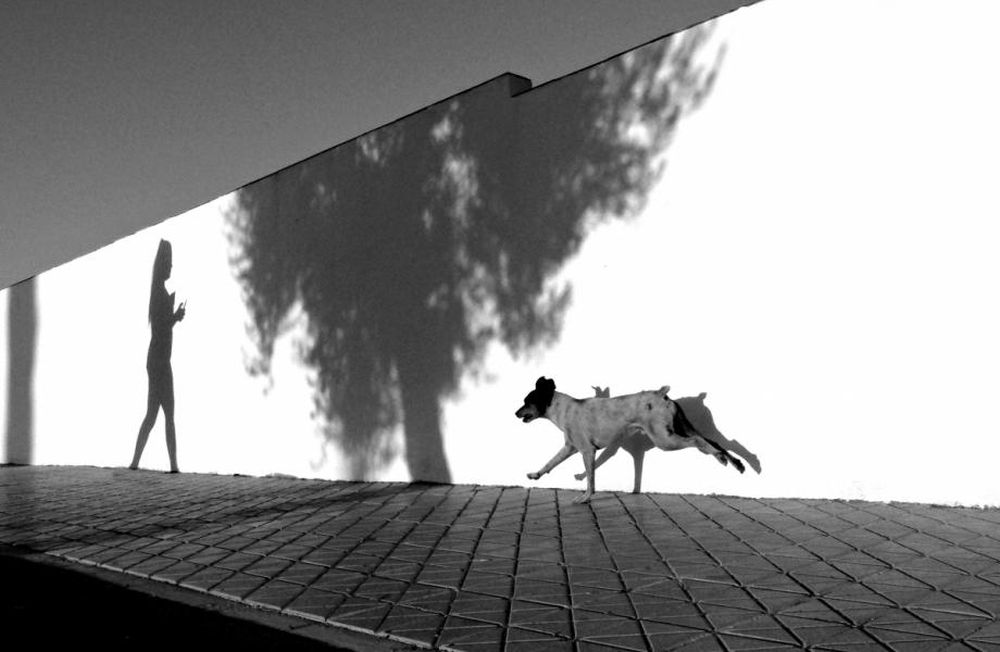 giba_ojeda_Cave Canem