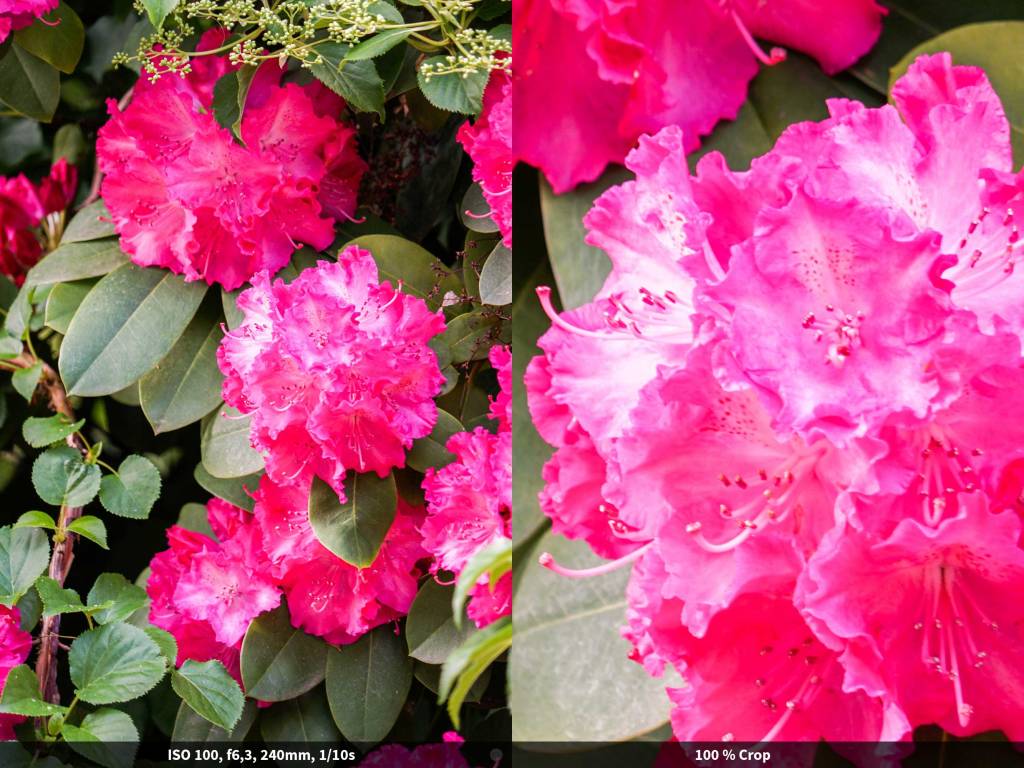 hands-on_sony-fe24-240mm_comparison-steady