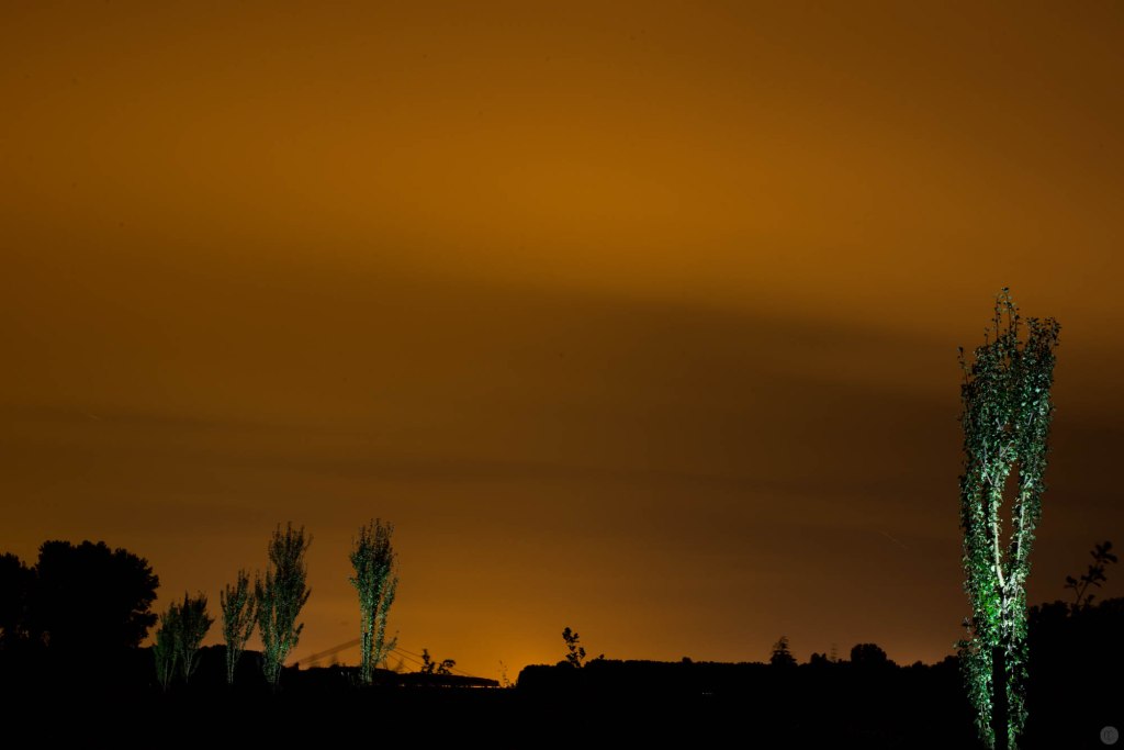 2014-online_0880_green-torches_001