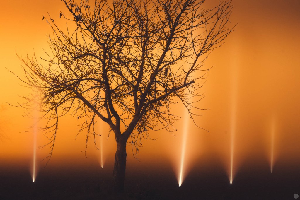 2014-online_1274_sandmans-garden_001