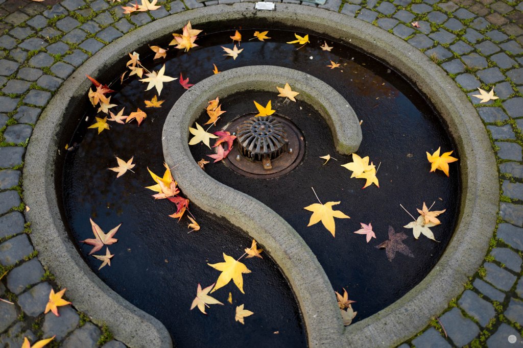 2015-online_1234_hands-on_leica-q_023