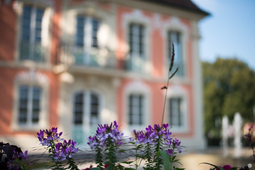 2015-online_1289_hands-on_zeiss-milvus-50mmf18_005