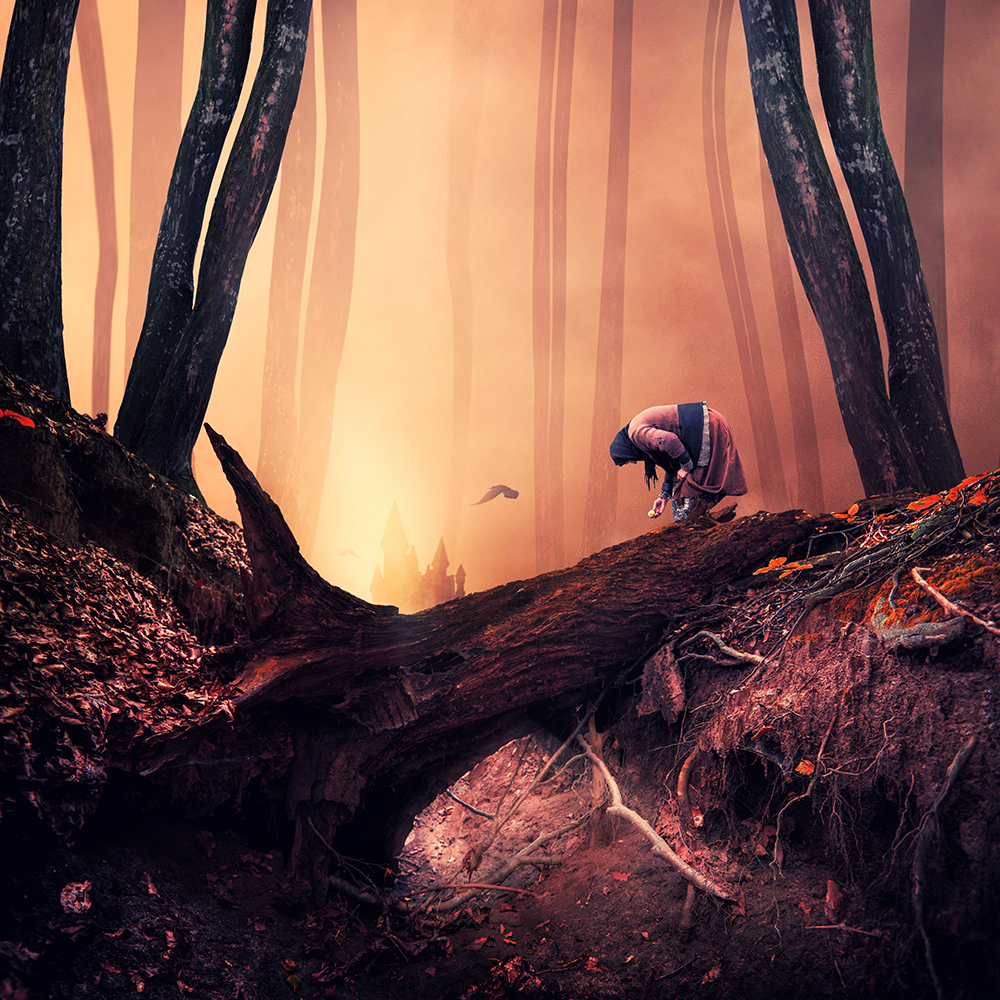giba_caras-ionut_003_The-lies-about-dark-forests